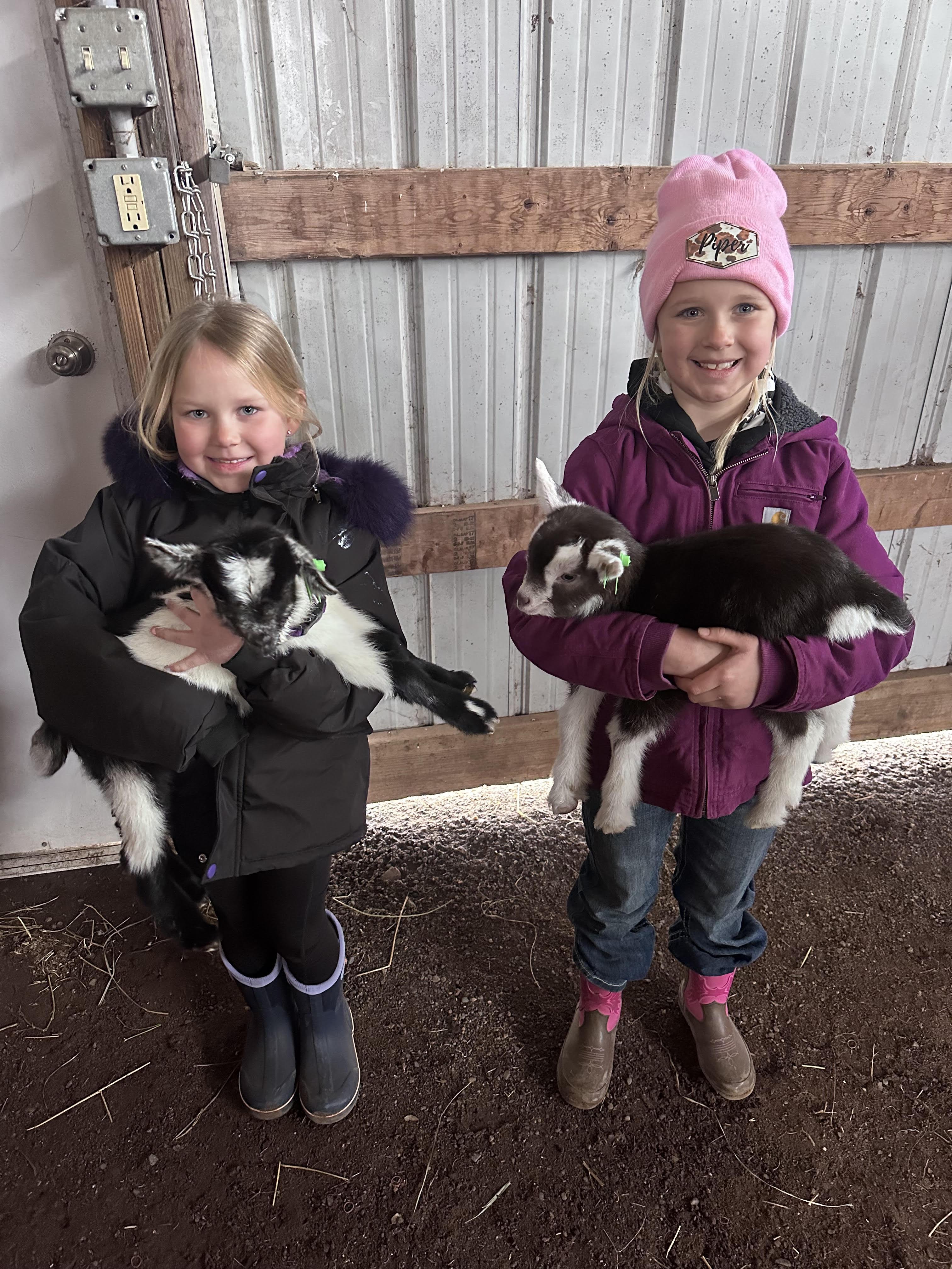 Kids petting goat kids in the mobile petting zoo
