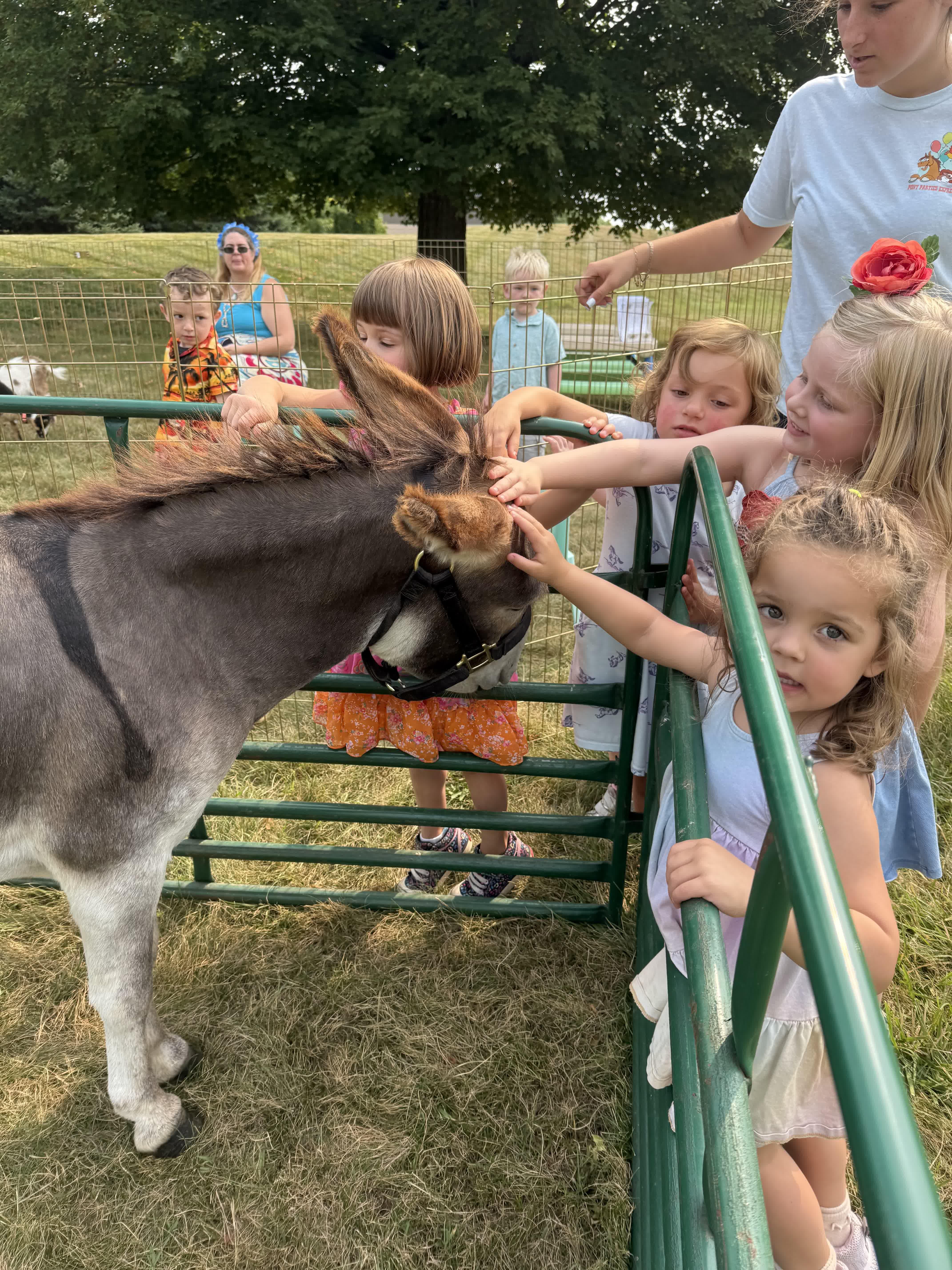 Children petting a donkey over the pen rail during a petting zoo visit
